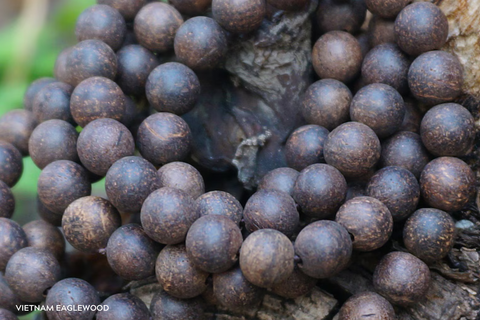 Vietnam Eaglewood Mala