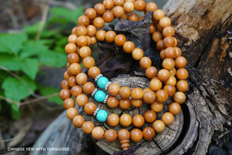 Chinese Yew with Turquoise Mala