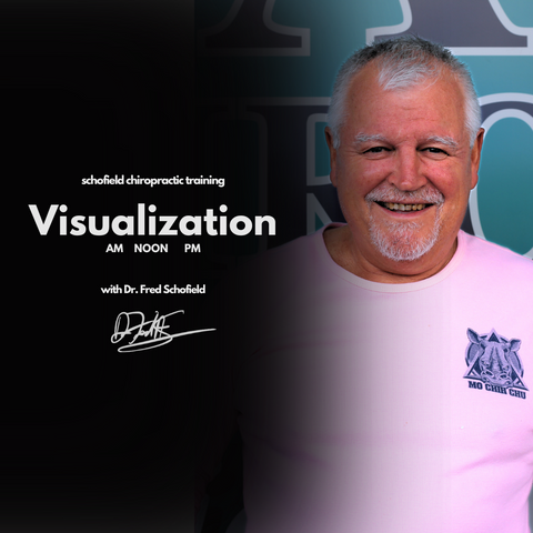 Visualization for Success: AM - NOON - PM