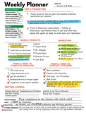 CA Weekly Planner