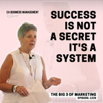 CA WEBINAR: The Big 3 of Marketing